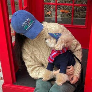 \̔yFREDDIE TALEzWALKIES corduroy ball cap for humaniNavyj ؍ pi hbOObY hbOEFA  ̕ ^ ^  낢 NR[f