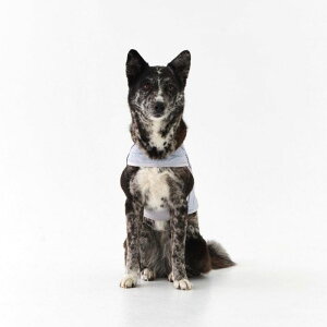 \̔ymunikundzWEISS COOLING VESTiGRAYj  hbOEFA ^ ^ ^ ^ ^ ^ t 