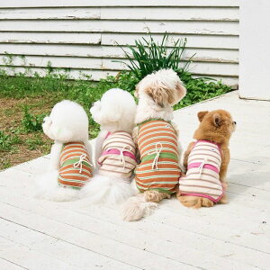 [ynouttizWaikiki All In One ؍ pi hbOObY hbOEFA  ̕ ^ ^ NR[f 