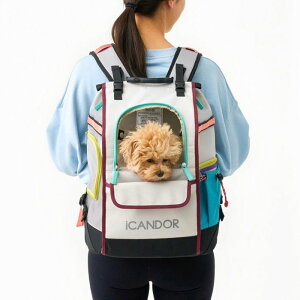 \̔yiCANDORzJIGE bagiMisty GrayjiCANDOR JIGE bag Misty Gray obO pobO hbOobO ̃obN  o ̃L[obO ̃L[P[X bNTbN wL