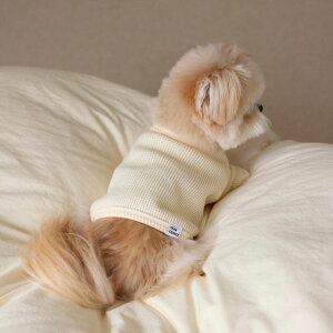 \̔yOUNCEzwaffle semicrop T-shirtsiIvoryj ؍ pi hbOObY TVc X[uX hbOEFA  ̕ ^ ^