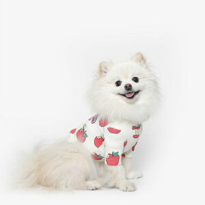 \̔yTUSTUSzApple Tee TUSTUS Apple Tee  hbOEFA ̕ ^ ^ pi hbOObY ؍