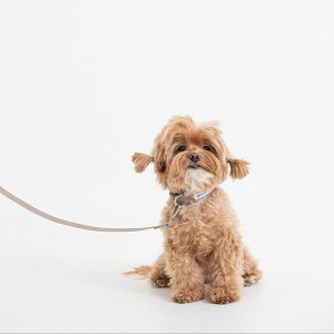 \̔yforeverybarizClassic Pet LeashiBeigej ؍ pi hbOObY [h j ̃[h p[h [h U[h v