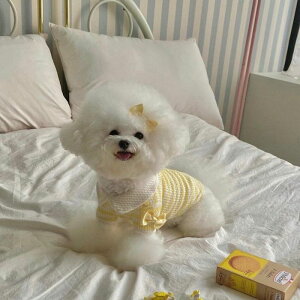 \̔yHi YeboozCozy CardiganiYellowj ؍ uh 킢  v[g ^ NEW t  H ~