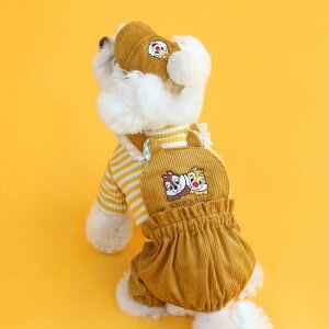 \̔yITS DOGzDisney chip'n dale corduroy pants (Mustard)  hbOEFA ̕ ^ ^ pi hbOObY ؍ H H