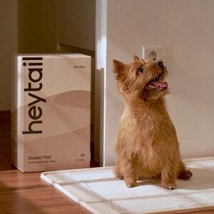 [yheytailzDesert Pad pi hbOObY gC}bg gC }bg ybgpi ybgObY }bg ybgp}bg ybg}bg p}bg