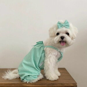 \̔yBonjour TOU-TOUzSeersucker bebe all in oneiMINTj ؍ uh 킢  v[g ^ NEW t  H