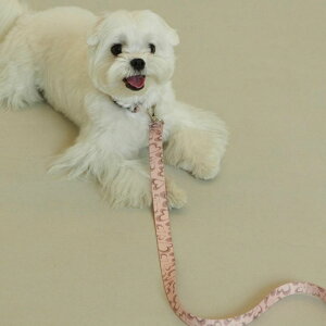 \̔yforeverybarizMarble Heart Pet LeashiStrawberryj ؍ pi hbOObY [h ̃[h p[h j [ [h U[h