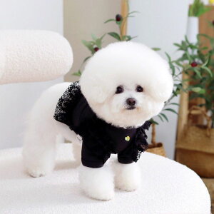 [yGET BACKzGet heat crop T-shirtiBlackj ؍ pi hbOObY TVc X[uX hbOEFA  ̕ ^ ^