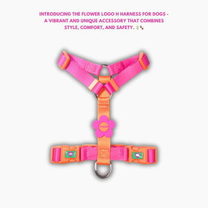 \̔yTOOFzFlower Logo H HarnessiORANGE/PINKj pi hbOObY n[lX hbOn[lX n[lX pn[lX ؍ g |bv t[S ^