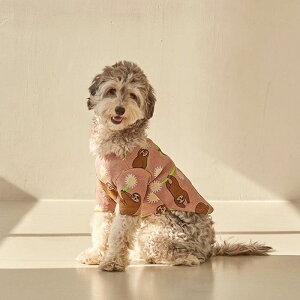 [yandblankzMOKEY TOPSi_XeBsNj ؍ uh 킢  v[g ^ NEW t H ~ 