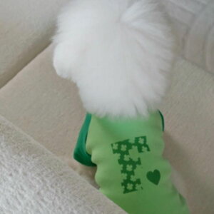 \̔yFREDDIE TALEzF logo raglan tee(green)  hbOEFA ̕ ^ ^ TVc X[uX pi hbOObY ؍