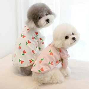 \̔yITS DOGzHeart Tulip Frill T-shirt  hbOEFA ̕ ^ ^ TVc X[uX pi hbOObY ؍