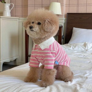 \̔yFREDDIE TALEzPetit striped rugby shirtiPinkj  hbOEFA ̕ ^ ^ TVc X[uX pi hbOObY ؍ t