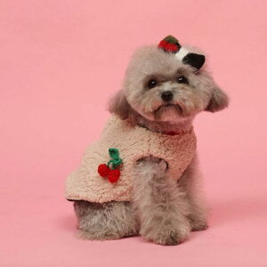 [yPets&Mez`F[zzn[Vtt[XwXgn[lX  hbOEFA ̕ ^ ^ n[lX pn[lX hbOn[lX n[lX^ n[lX