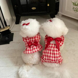 \̔yHi YeboozBrooklyn Collection RomperiRedj ؍ uh 킢  v[g ^ NEW t  H