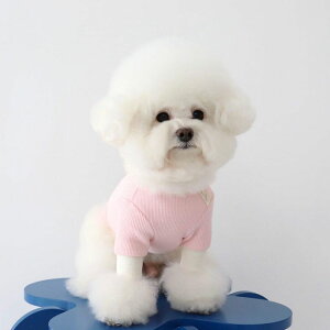 \̔yChiotzSherbet waffle T-shirtiStrawberryj ؍ uh 킢  v[g ^ NEW t  H