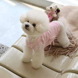 即納【GET BACK】Get Heat Ribbo tee（Pink） 犬服 ドッグウェア 犬の服 スリーブレス 犬用品 ドッググッズ 韓国 小型犬 小型犬服 春服