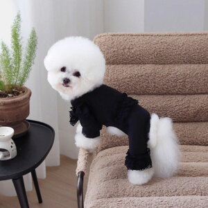 [yGET BACKzGet Heat All in oneiBlackj  hbOEFA ؍ pi hbOObY ̕ ^ ^ t H