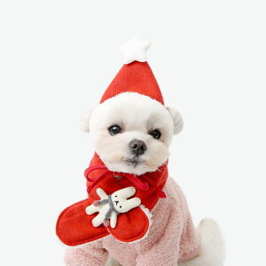 \̔yITS DOGzHey bunny knit hat (red) pi hbOObY hbOEFA  ̕ ^ ^ ؍ ~ ~
