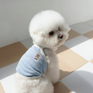 [yDURANG RURANGzDot Teddy Bear TopiMint Bluej  hbOEFA ̕ ^ ^ pi hbOObY X[uX t 