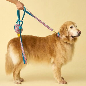 \̔yiCANDORzGentle Leash BoltiEDINBURGH CHECKj ؍ pi hbOObY [h Upi U[h ̃[h p[h ^ ^