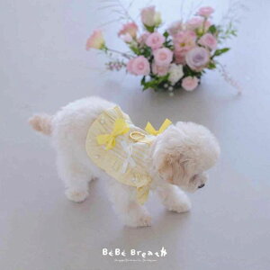 \̔yBeBe BreathzBella harnessiYellowj ؍ uh 킢  v[g ^ n[lX UObY NEW t  H ~ v 