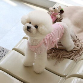 ※予約販売【GET BACK】Get Heat Ribbo tee（Pink） 韓国 ブランド かわいい おしゃれ プレゼント 小型犬 NEW 春 秋 冬 軽量