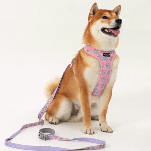 [yandblankzICONIC Jelly Phant HarnessiPinkj pi hbOObY n[lX hbOn[lX n[lX pn[lX ؍ ^ ^ 