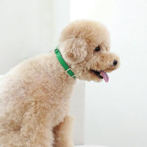 \̔ymaison de miuzSquare Pearl CollariGreenj ؍ uh 킢  v[g ^  ^I NEW