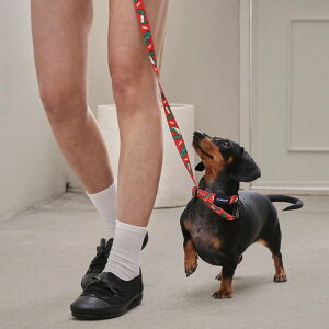 [yandblankzLAZY CROCODILE COLLAR ؍ pi hbOObY  ̎ hbOJ[  p n[lX ̃n[lX