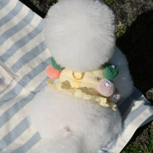 \̔yBeBe BreathzBev Harness(Yellow) pi hbOObY ؍ n[lX ̃n[lX hbOn[lX n[lX pn[lX ^ ^ hbOEFA