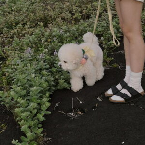 \̔yBeBe BreathzBev Harness(Yellow) pi hbOObY ؍ n[lX ̃n[lX hbOn[lX n[lX pn[lX ^ ^ hbOEFA