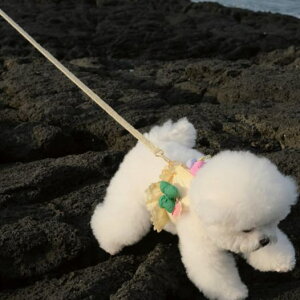 \̔yBeBe BreathzBev Harness(Yellow) pi hbOObY ؍ n[lX ̃n[lX hbOn[lX n[lX pn[lX ^ ^ hbOEFA