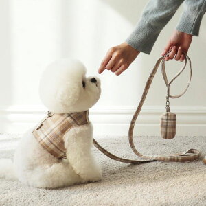 \̔yChiotzFrench walk lead ؍ uh 킢  v[g ^ obO UobO n[lX [h UObY NEW H ~ z_[