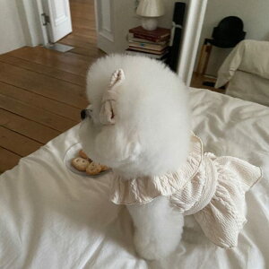 \̔yHi YeboozOff- Shoulder Knit Ops(Ivory)  hbOEFA ̕ ^ ^ pi hbOObY ؍ s[X jbg H