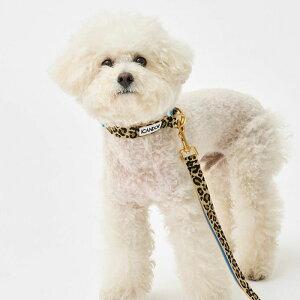 \̔yiCANDORzGentle Collar DualiLEOPARDjS/M pi hbOObY  ̎ hbOJ[  p n[lX ̃n[lX hbOn[lX n[lX
