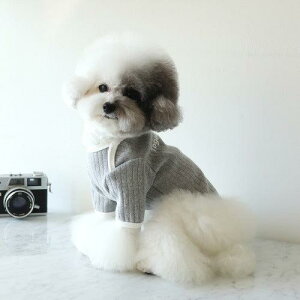 \̔yChiotzMild baby T-shirtiGrayj  hbOEFA ̕ ^ ^ TVc X[uX pi hbOObY t