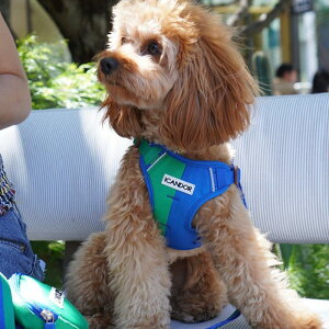 [yiCANDORzSnuggle HarnessiFORESTj pi hbOObY n[lX UObY Upi ̃n[lX hbOn[lX n[lX pn[lX ؍ y