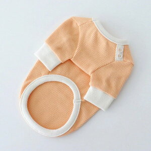 \̔yChiotzSherbet waffle T-shirtiOrangej ؍ uh 킢  v[g ^ NEW t  H