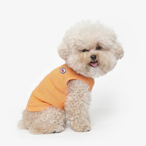 [yTUSTUSzBasic Stripe SleeveiOrangej  hbOEFA ̕ X[uX pi hbOObY ؍ ^ ^ ^