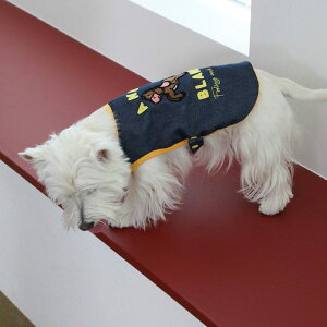 \̔yandblankzCoco pony Denim pullover  hbOEFA ̕ TVc X[uX pi hbOObY ؍ ^ ^ t