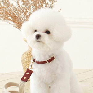 \̔ymaison de miuzSquare Pearl CollariWinej ؍ uh 킢  v[g ^  ^I NEW