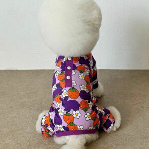 \̔yCRRzBerry & Rabbit Button Detail All-in-oneiPurplej ؍ pi hbOObY hbOEFA  ̕ ^ ^ t t