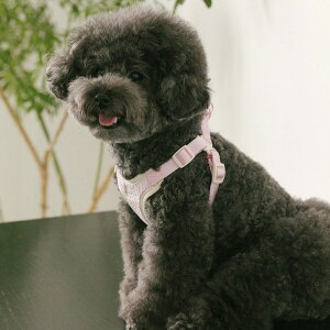 \̔yssfwzEveryday Harness pi hbOObY n[lX hbOn[lX n[lX pn[lX [h ̃[h p[h U[h