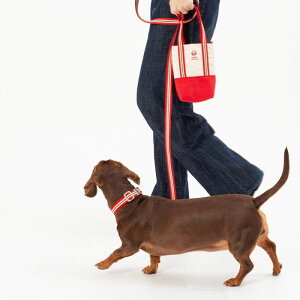 \̔yandblankzAndblank x Camel ABC Stripe Hands Free Leash ؍ pi hbOObY [h U[h ̃[h p[h j [ [h