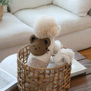 [ymeaninglesszBackpack HarnessiGosomijnatural/brown pi hbOObY hbOEFA  ̕ ^ ^ n[lX [h LN^[