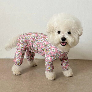 \̔yCRRzDaisy Rainsuit  hbOEFA ̕ ^ ^ pi hbOObY ؍ CR[g h