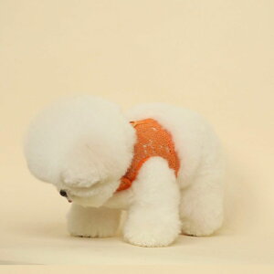 \̔yBeBe Breathzjuice harnessiOrangej ؍ uh 킢  v[g ^ n[lX [h UObY NEW t  H ~ v 