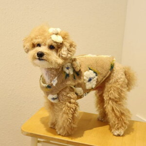 [yPets&MeztEj[zzn[Vtt[XwXgn[lX pi hbOObY hbOEFA  ̕ ^ ^ n[lX ̃n[lX pn[lX ~